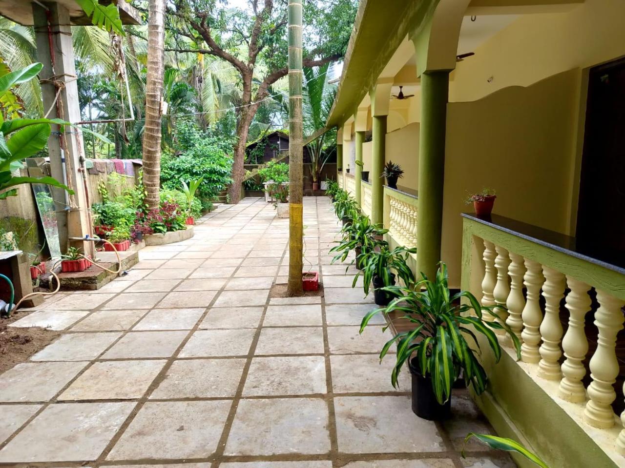 One Love Guest House Morjim Eksteriør bilde