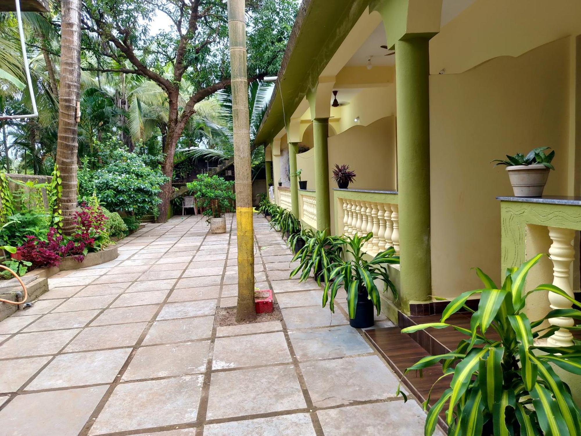 One Love Guest House Morjim Eksteriør bilde